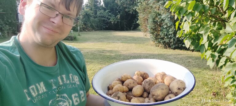 Petr at the 2024 potato harvest