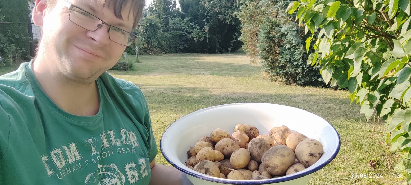 Ma première récolte de pommes de terre ! - Culture dans le jardin